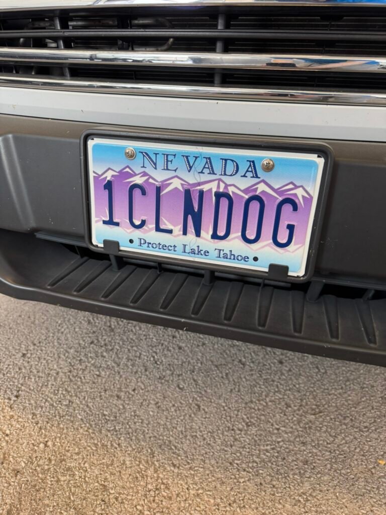 One Clean Dog mobile grooming van license plate